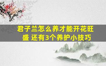 君子兰怎么养才能开花旺盛 还有3个养护小技巧